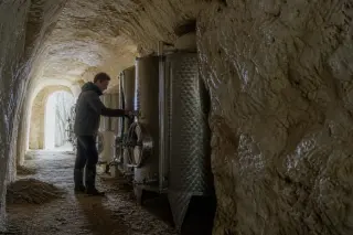 Winemaker alone in a tuffeau limestone cellar in the Loire Valley, checking stainless steel tanks at dawn, textured stone walls and humid subterranean atmosphere.